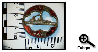 Lapel Badge