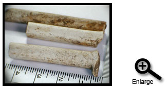 Clay Pipe stems